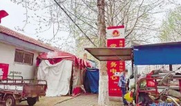 海阳吃瓜最新事件爆料埠南村,埠南村最新爆料揭秘