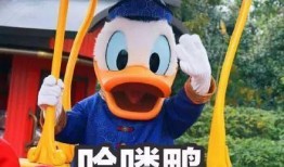 娱乐圈吃瓜鸭微博,揭秘明星幕后故事